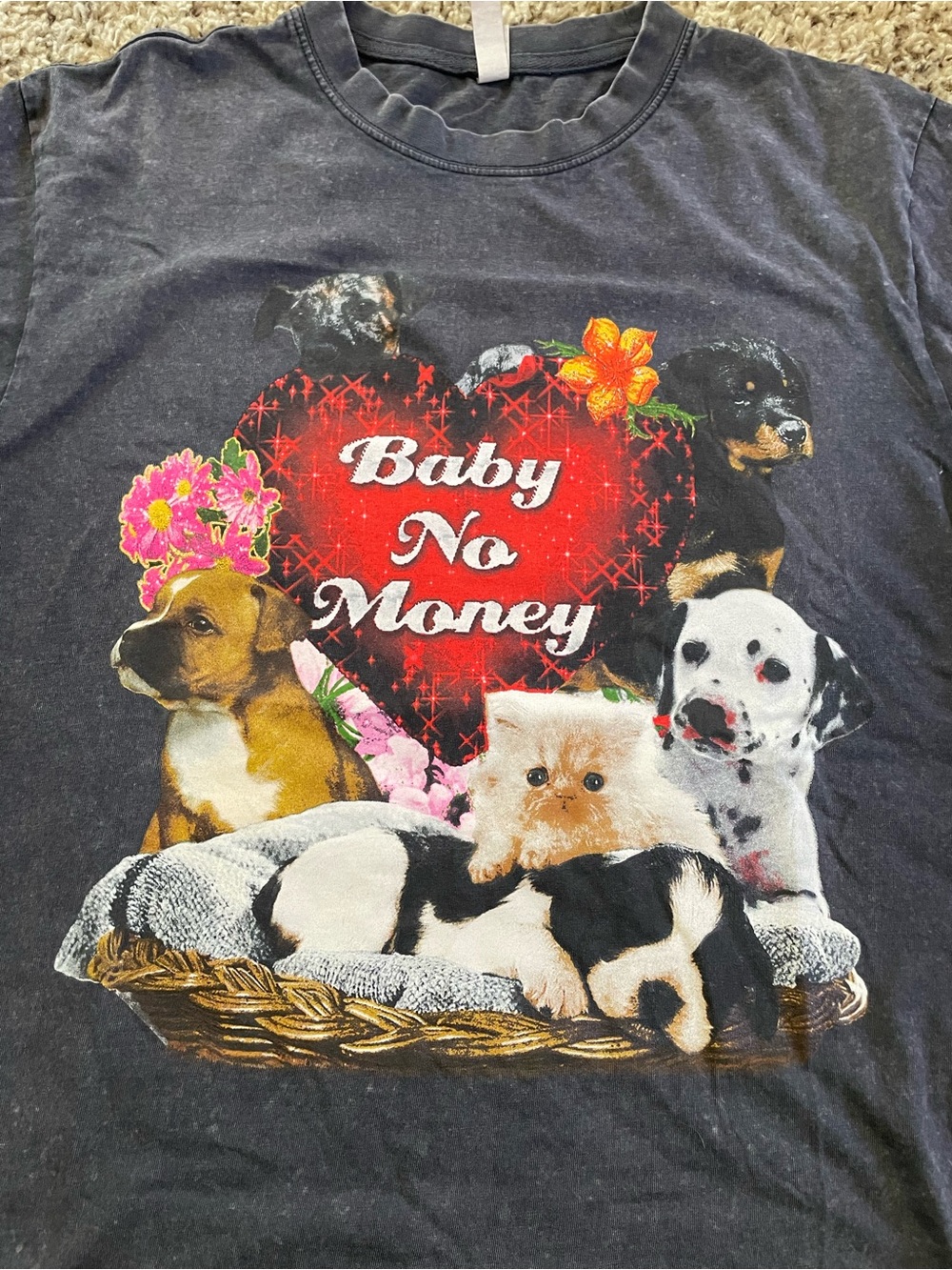 Bbno$ Concert tee - Merch with puppies & kittens